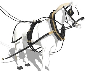 精品动物模型  马 (2)